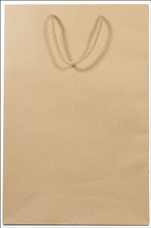 تصویر  ساك دستي كرافت الينو (17*24)