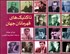 تصویر  تاكتيك‌هاي قهرمانان جهان