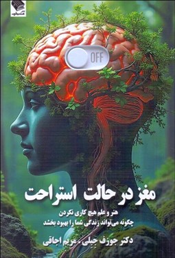 تصویر  مغز در حالت استراحت