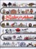 تصویر  دايره‌المعارف مصور سفر در تاريخ