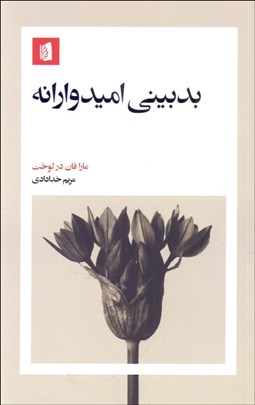 تصویر  بدبيني اميدوارانه